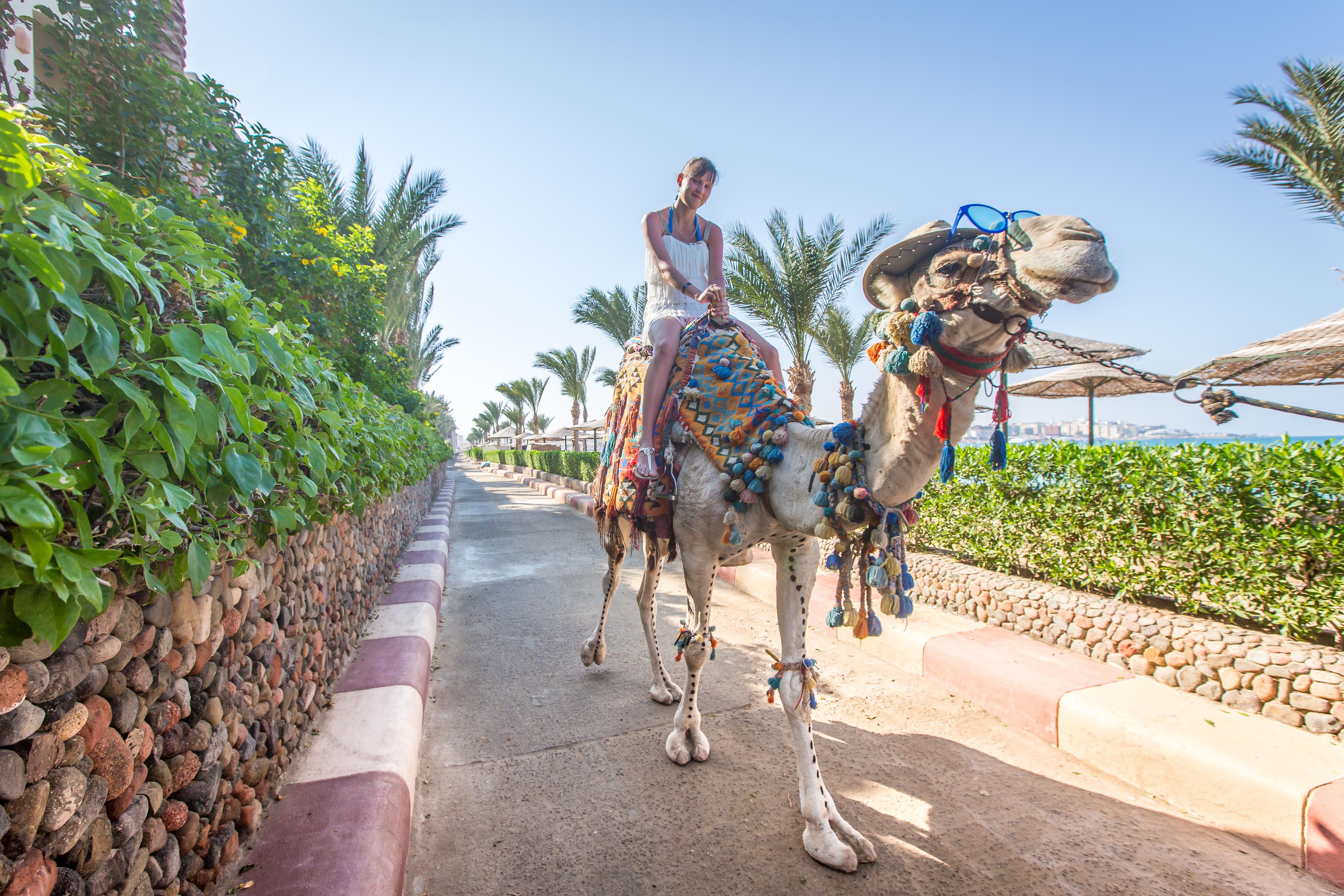 Sunny Days El Palacio Resort & Spa Hurghada Eksteriør billede